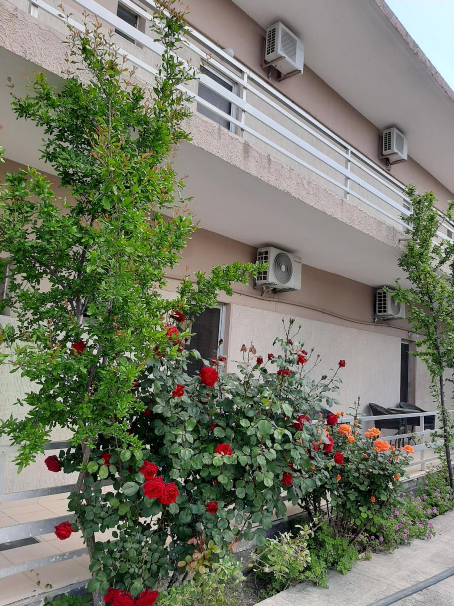 Apartment Mona Agios Georgios (Istiaia-Aidipsos)